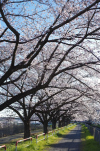 【探偵 静岡 焼津 藤枝 島田】探偵を雇う理由はなんですか？