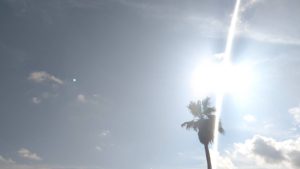 【静岡県の探偵】即日調査について